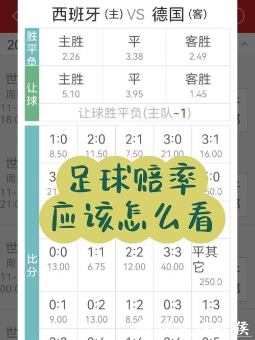 推荐可靠的世界杯下注APP平台解析 推荐可靠的世界杯下注APP平台解析
